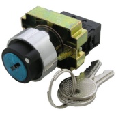 Выключатель с ключом RUICHI 3SA8-BG21, 2 положения, NO, 3 А, 240 В, IP40, винтовой зажим
